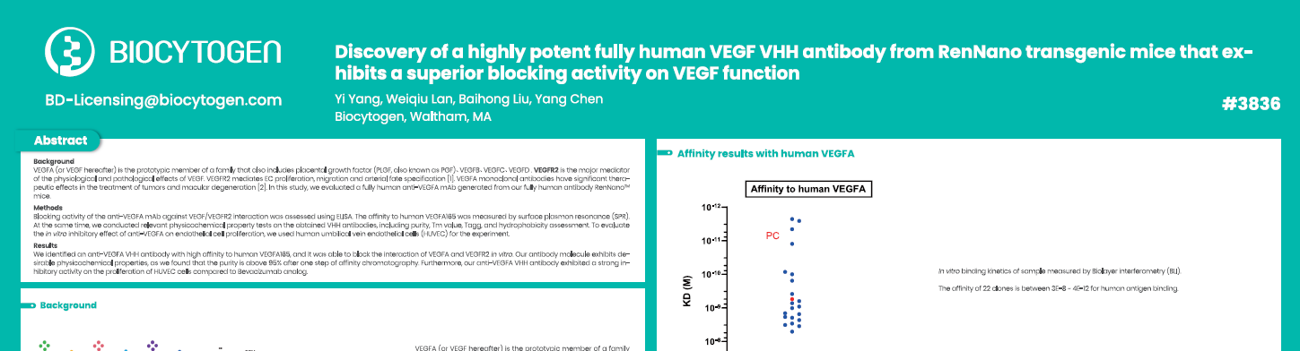AACR 2025: Discovery of a highly potent fully human VEGF VHH antibody from RenNano transgenic mice that exhibits a superior blocking activity on VEGF function