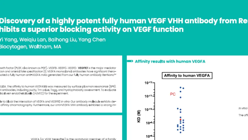 AACR 2025: Discovery of a highly potent fully human VEGF VHH antibody from RenNano transgenic mice that exhibits a superior blocking activity on VEGF function