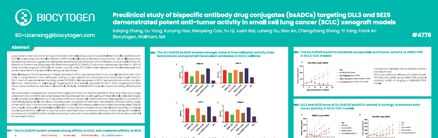 AACR 2025: Preclinical study of bispecific antibody drug conjugates (bsADCs) targeting DLL3 and SEZ6 demonstrated potent anti-tumor activity in small cell lung cancer (SCLC) xenograft models: