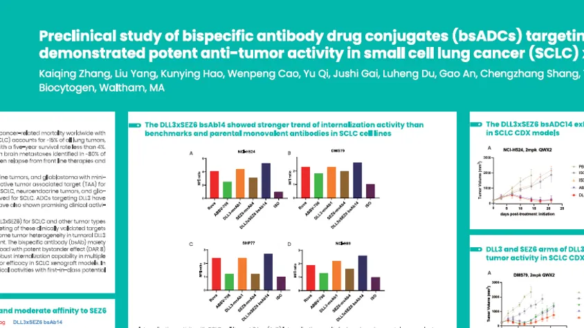 AACR 2025: Preclinical study of bispecific antibody drug conjugates (bsADCs) targeting DLL3 and SEZ6 demonstrated potent anti-tumor activity in small cell lung cancer (SCLC) xenograft models:
