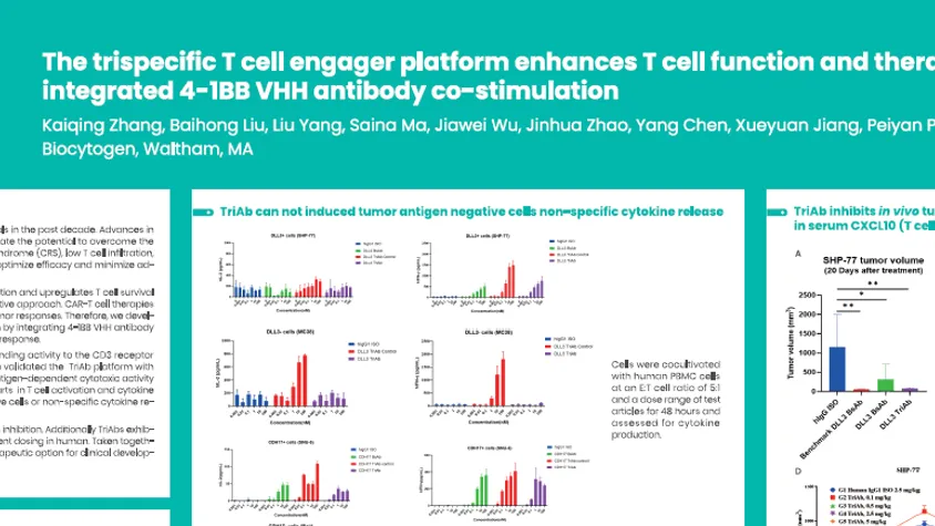 AACR 2025: The trispecific T cell engager platform enhances T cell function and therapeutic efficacy via integrated 4-1BB VHH antibody co-stimulation