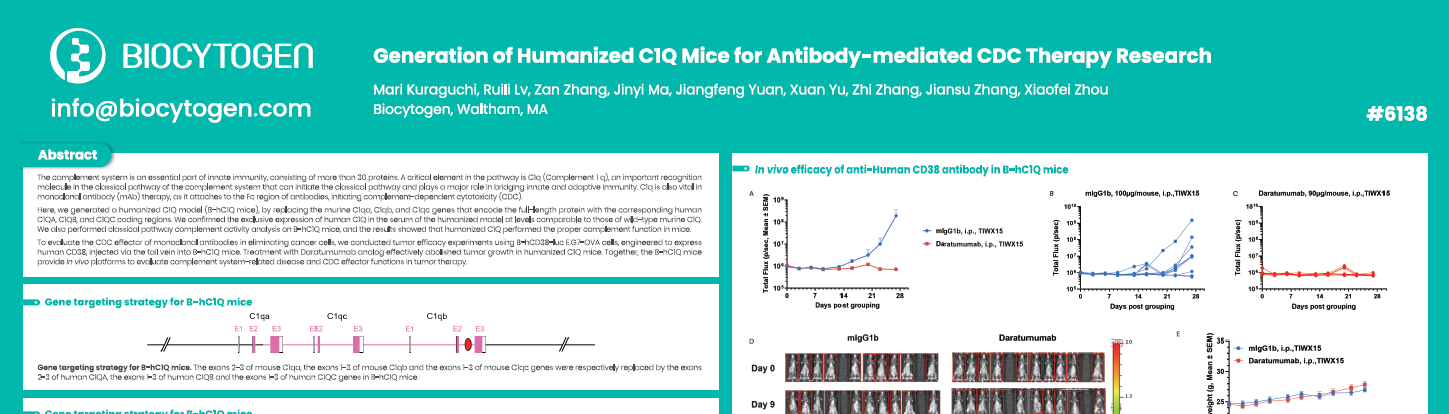 AACR 2025: Generation of humanized C1Q mice for antibody-mediated CDC therapy research