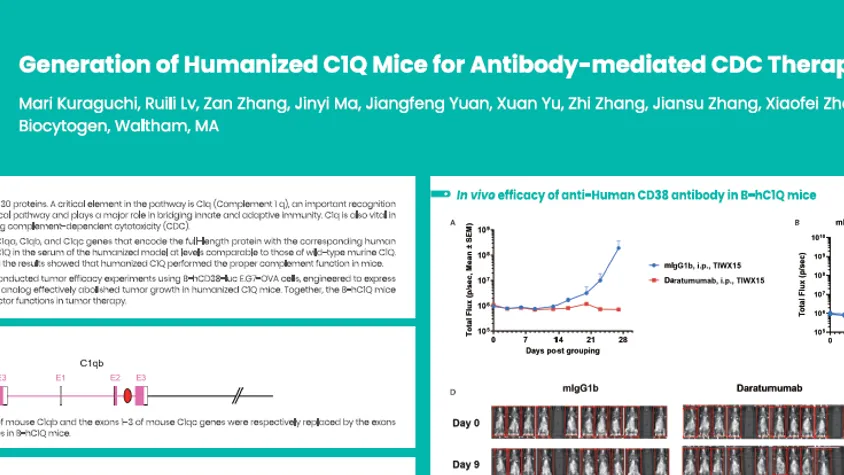 AACR 2025: Generation of humanized C1Q mice for antibody-mediated CDC therapy research