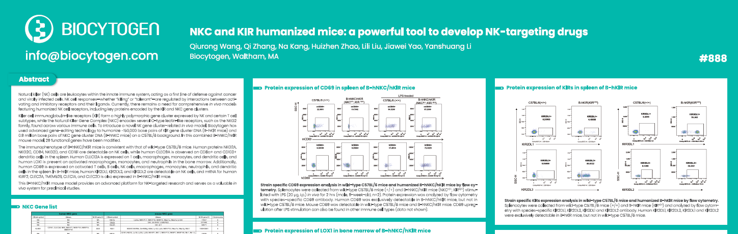 AACR 2025: NKC and KIR humanized mice: a powerful tool to develop NK-targeting drugs