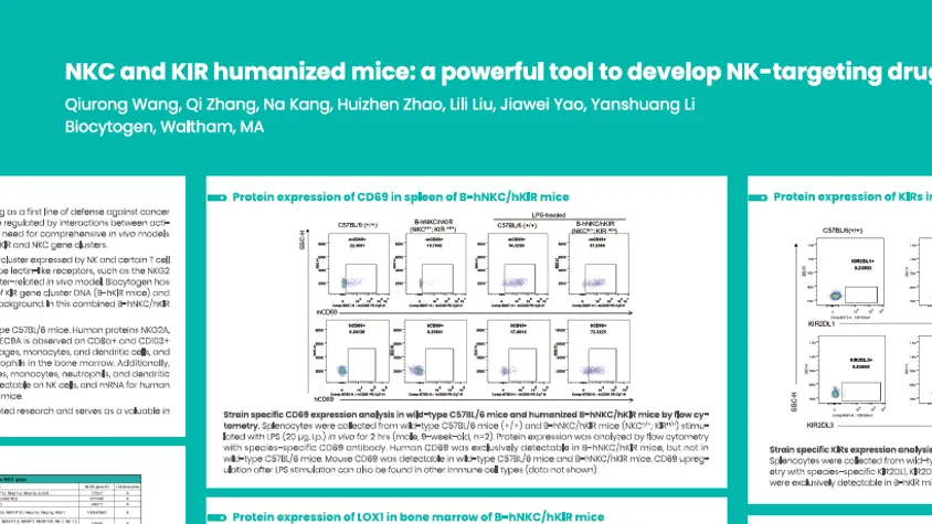AACR 2025: NKC and KIR humanized mice: a powerful tool to develop NK-targeting drugs