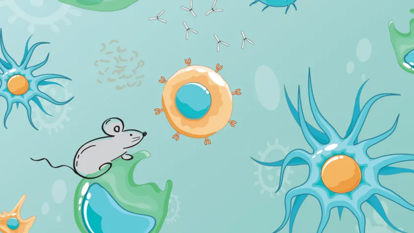 Humanized Mice for Autoimmune Diseases