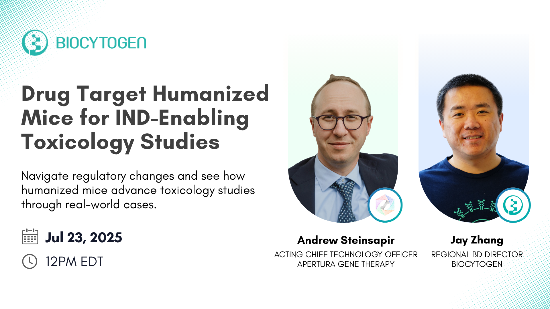 Drug Target Humanized Mice for IND-Enabling Toxicology Studies