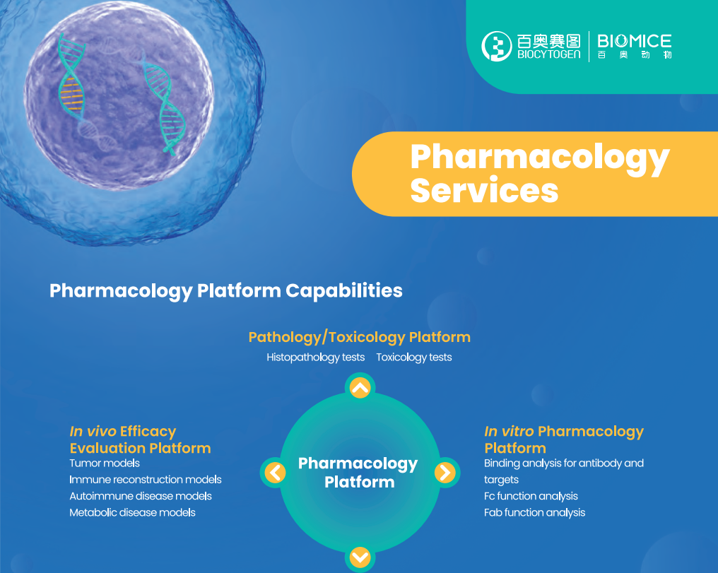 Pharmacology Services