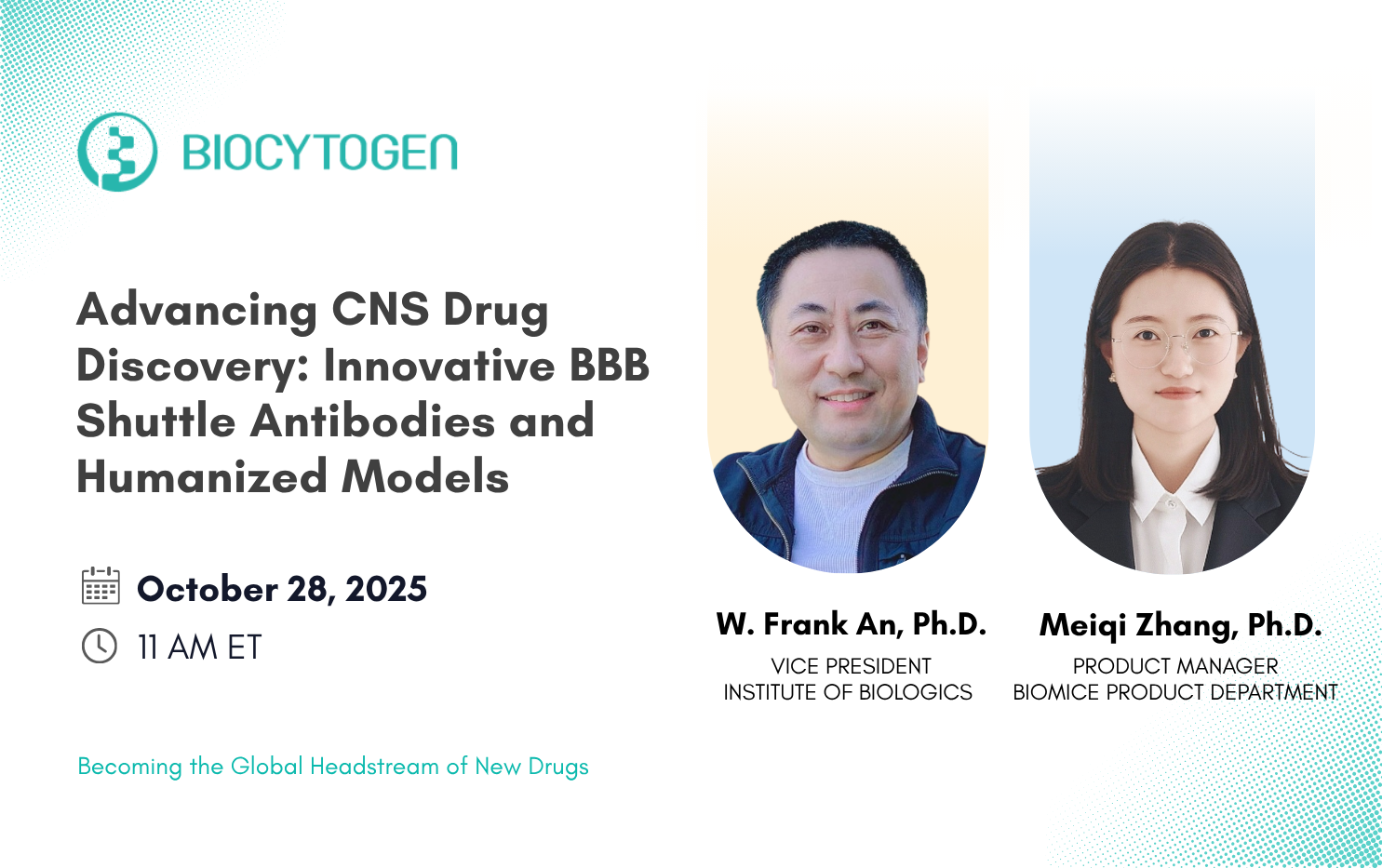 Advancing CNS Drug Discovery: Innovative BBB Shuttle Antibodies