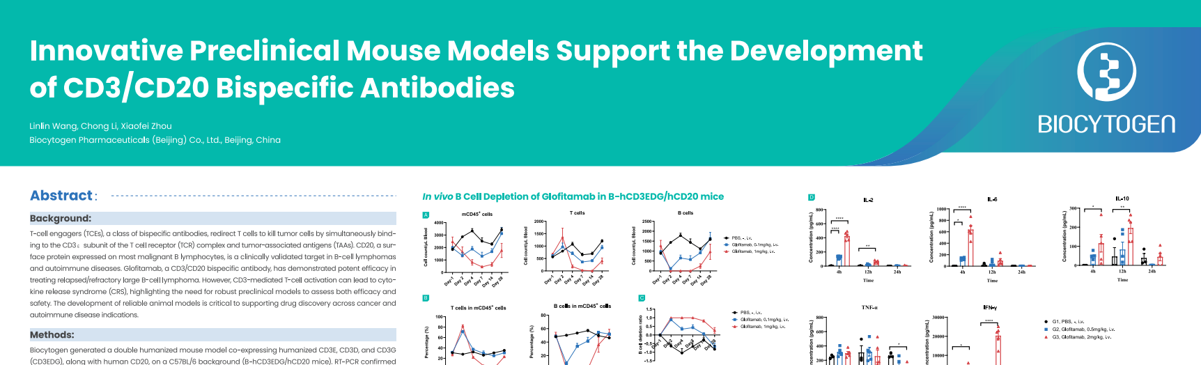 SITC 2025: Innovative Preclincical Mouse Models Support the Development of CD3/CD20 Bispecific Antibodies