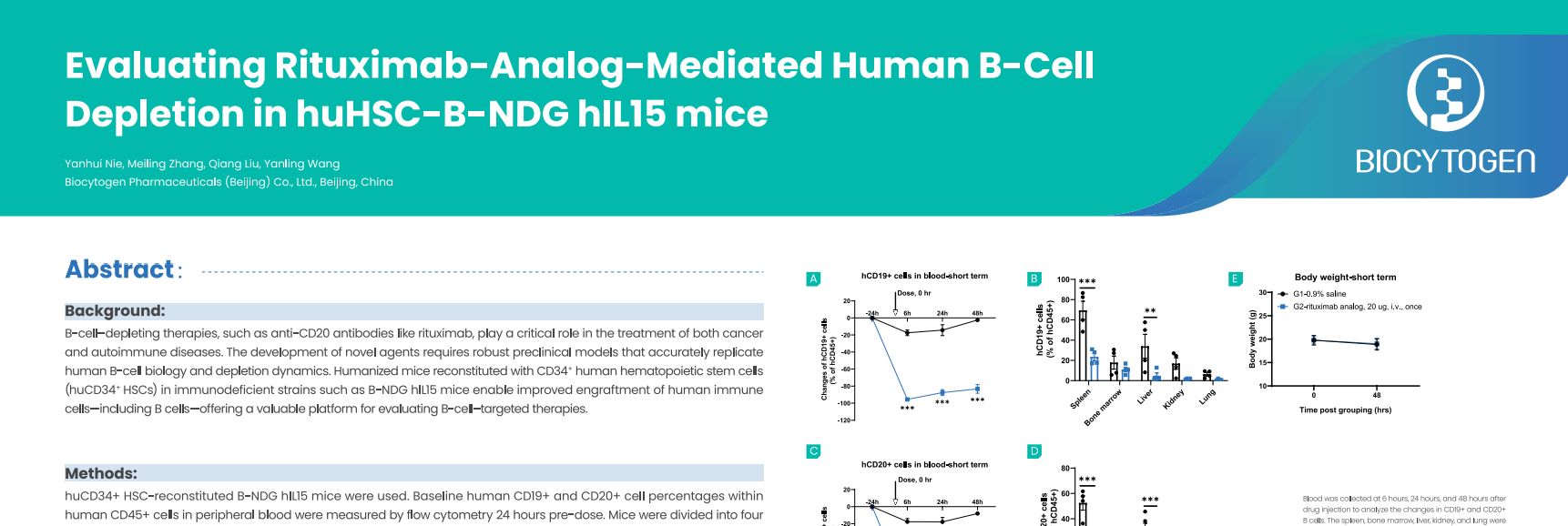 SITC 2025: Evaluating Rituximab-Analog-Mediated Human B-Cell Depletion in HuHSC-B-NDG hIL15 mice