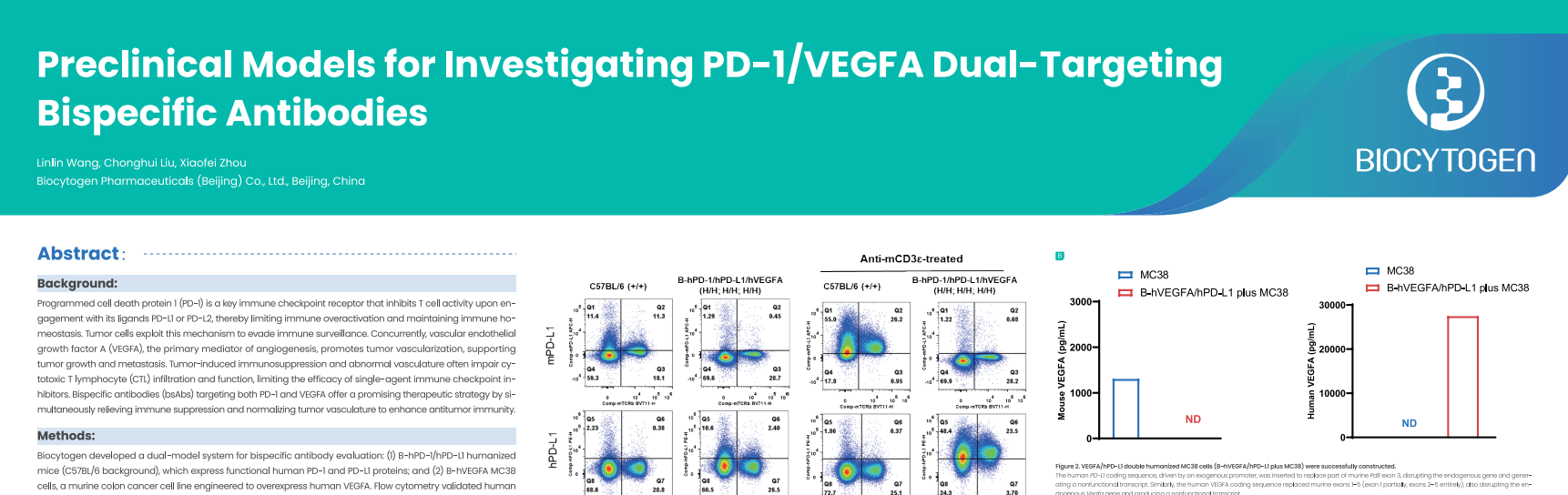 SITC 2025: Preclincical Models for Investigating PD-1/VEGFA Dual-Targeting Bispecific Antibodies