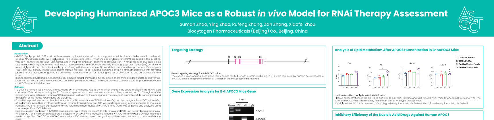 ASGCT 2025: Developing Humanized APOC3 Mice as a Robust in vivo Model for RNAi Therapy Assessment