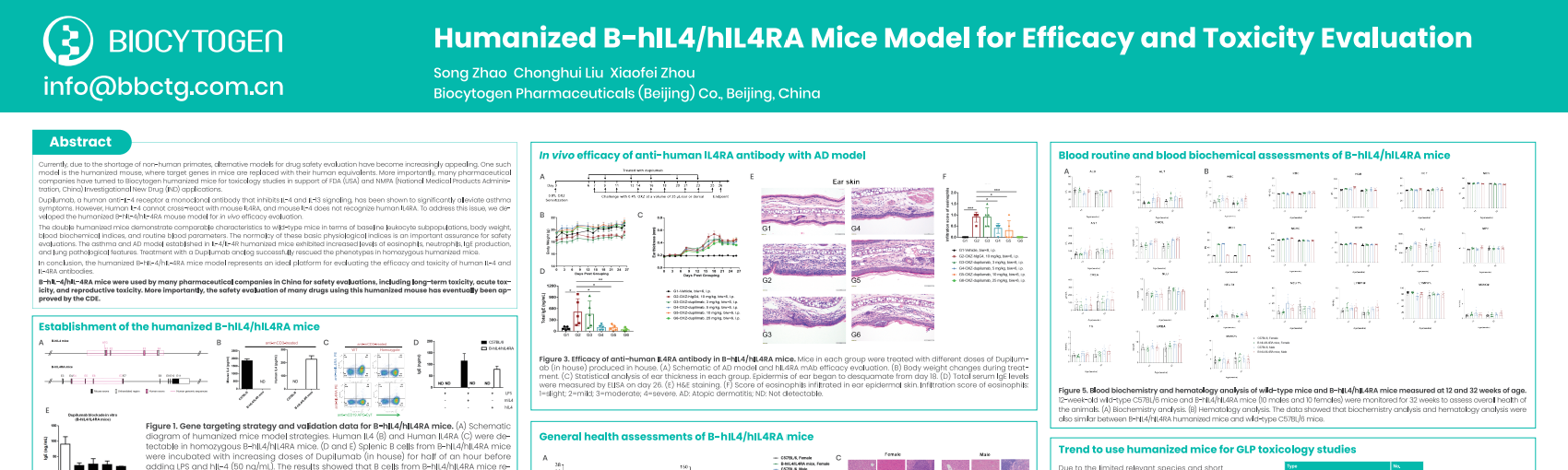 JSOT 2025: Humanized B-hIL4/hIL4RA Mice Model for Efficacy and Toxicity Evaluation
