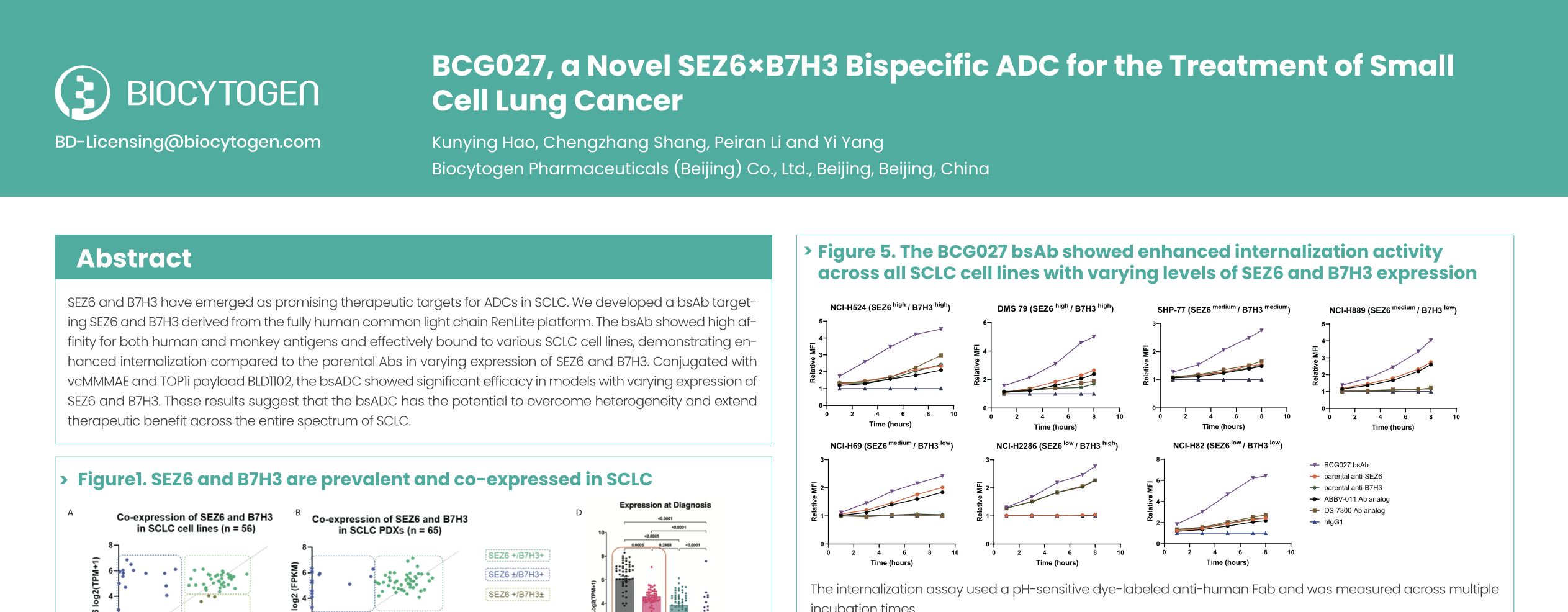 World ADC London 2025: BCG027, a Novel SEZ6 &times; B7H3 Bispecific ADC for the Treatment of Small Cell Lung Cancer