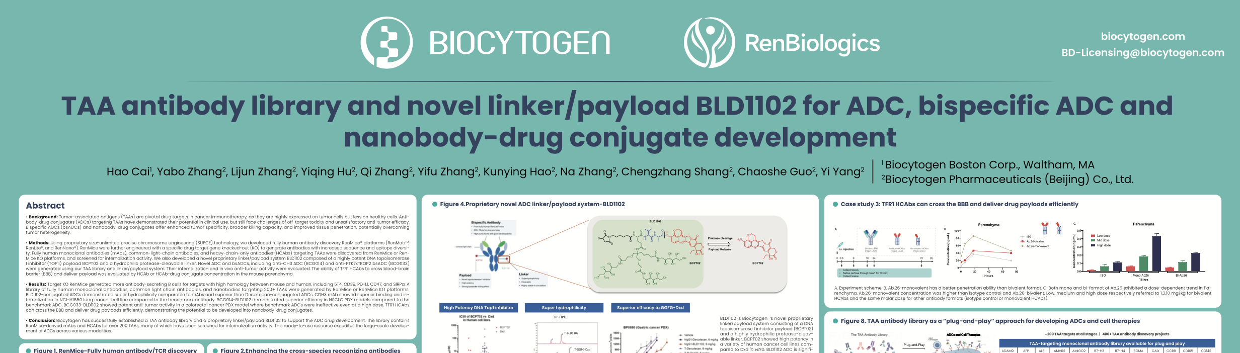 SITC 2024: TAA antibody library and novel linker/ payload BLD1102 for ADC, bispecific ADC and nanobody-drug conjugate development