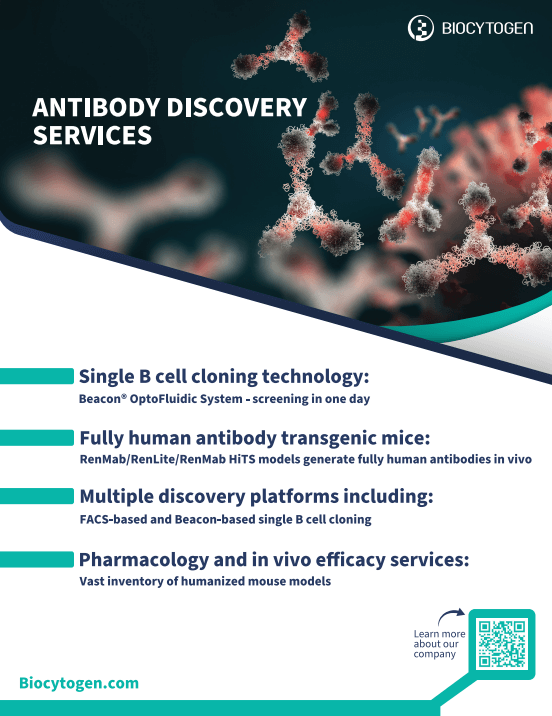 Antibody Discovery Service Brochure