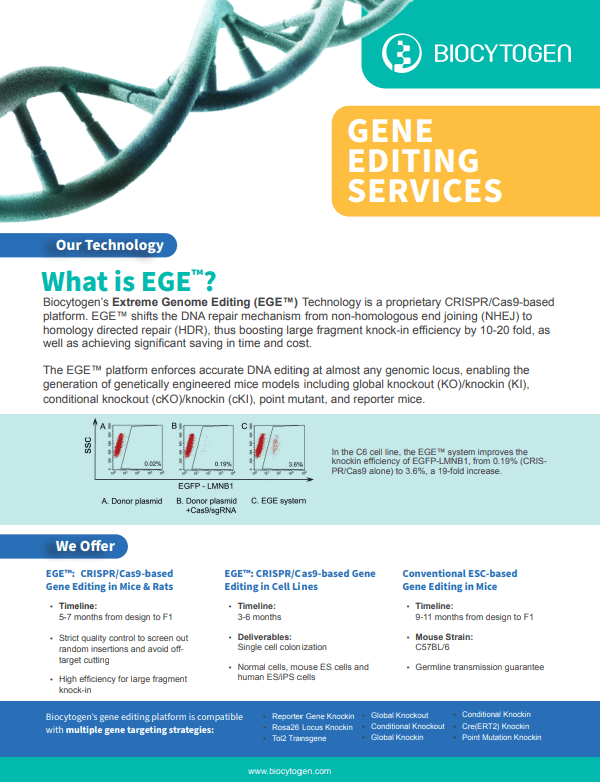 Gene Editing Service Brochure