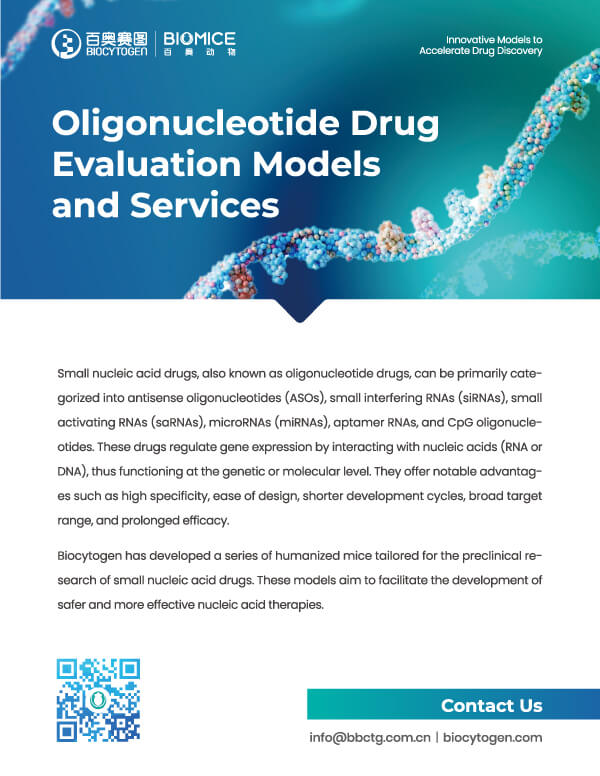 Oligonucleotide Drug Evaluation Models and Services