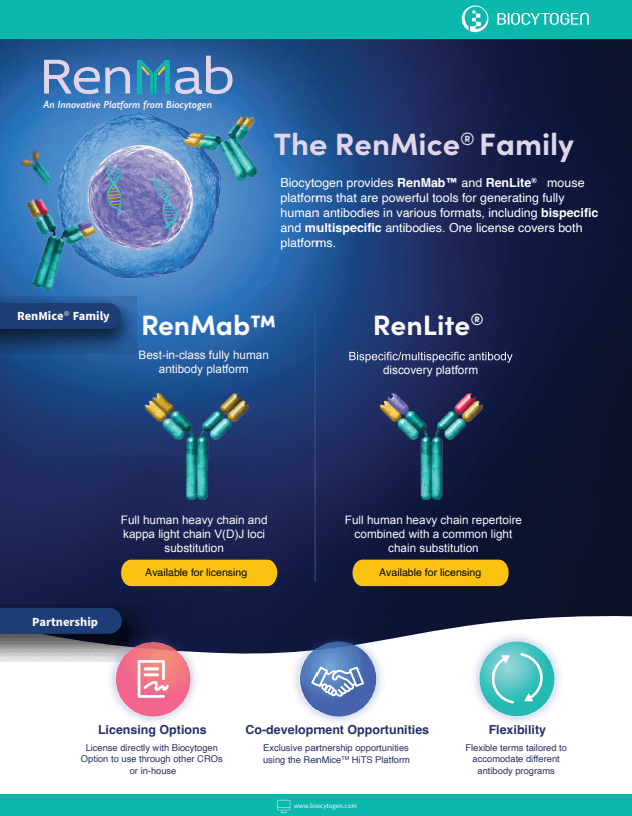 RenMab&trade;/RenLite&reg; Brochure
