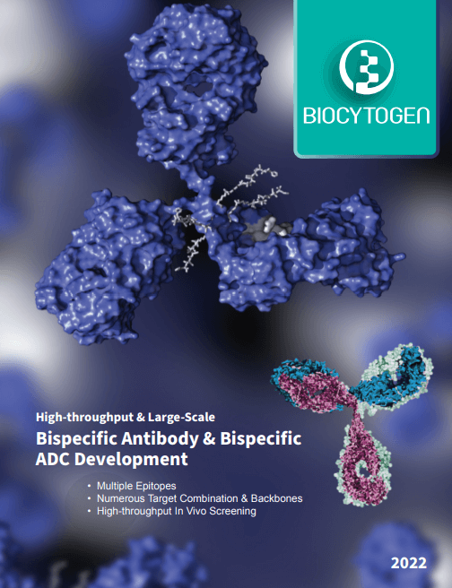 Bispecific Antibody & Bispecific ADC Brochure