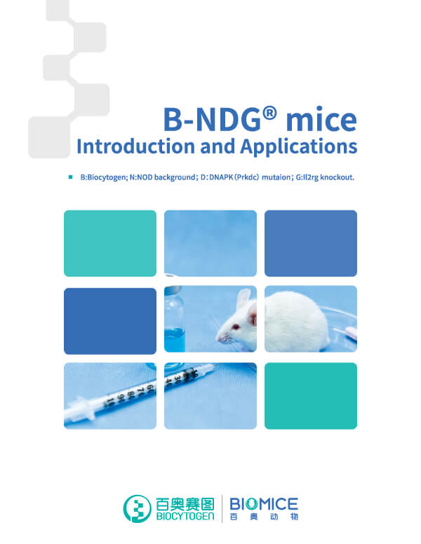 Immunodeficient (B-NDG) Mice
