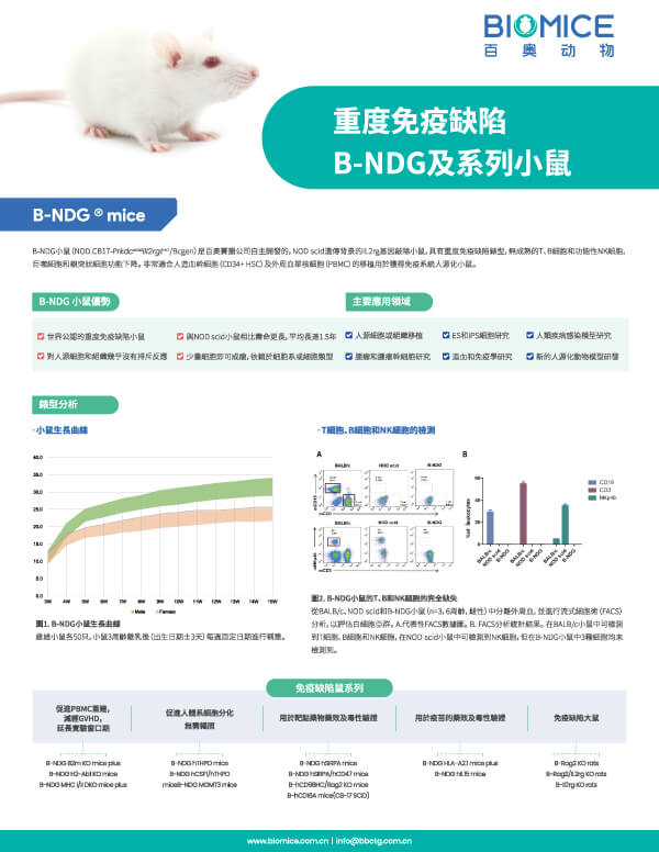重度免疫缺陷B-NDG及系列小鼠