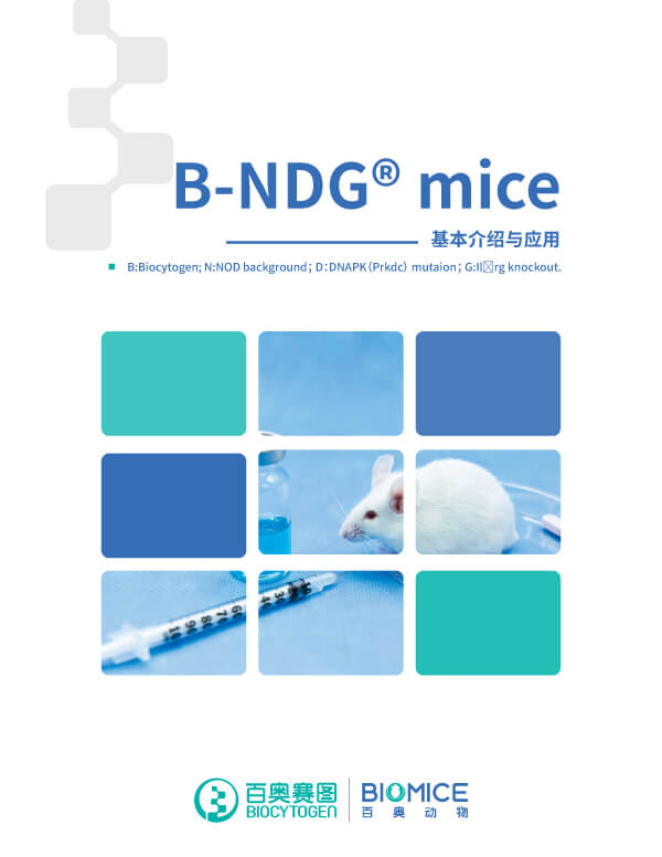 重度免疫缺陷B-NDG Mice