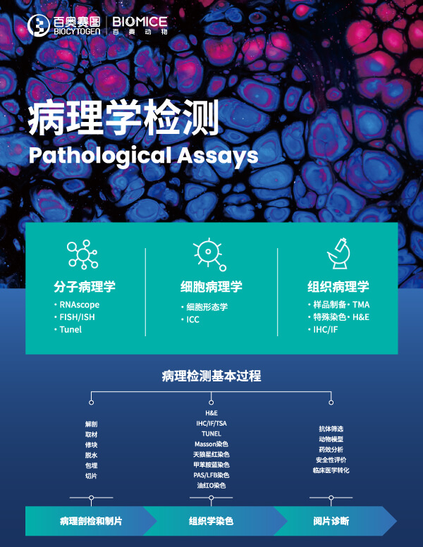 病理学检测