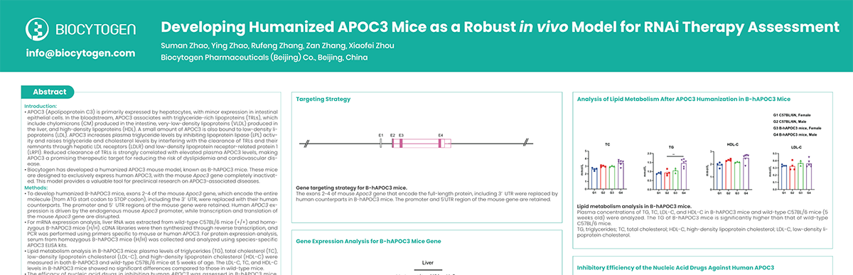 The Obesity Science & Innovation 2025: Developing Humanized APOC3 Mice as a Robust in vivo Model for RNAi Therapy Assessment