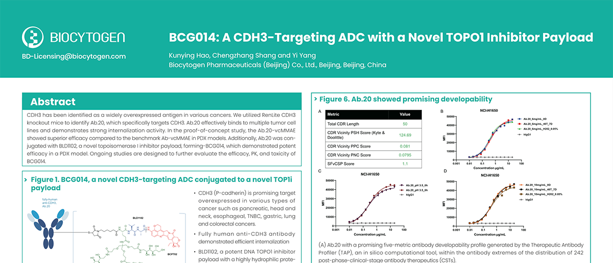 World ADC San Diego 2024: BCG014: A CDH3-Targeting ADC with a Novel TOPO1 Inhibitor Payload