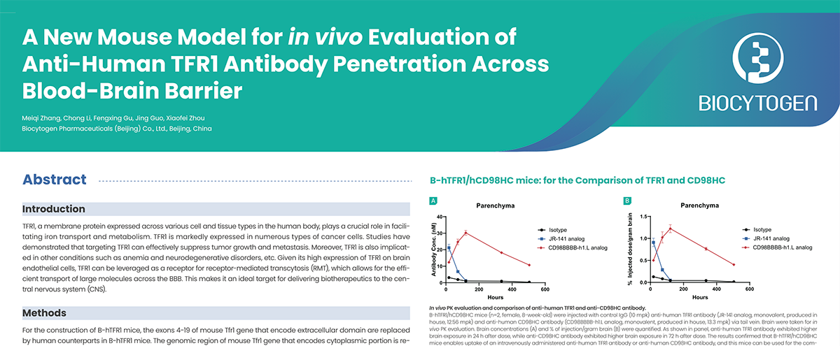 SFN 2025: A New Mouse Model for in vivo Evaluation of Anti-Human TFRI Antibody Penetration Across Blood-Brain Barrier