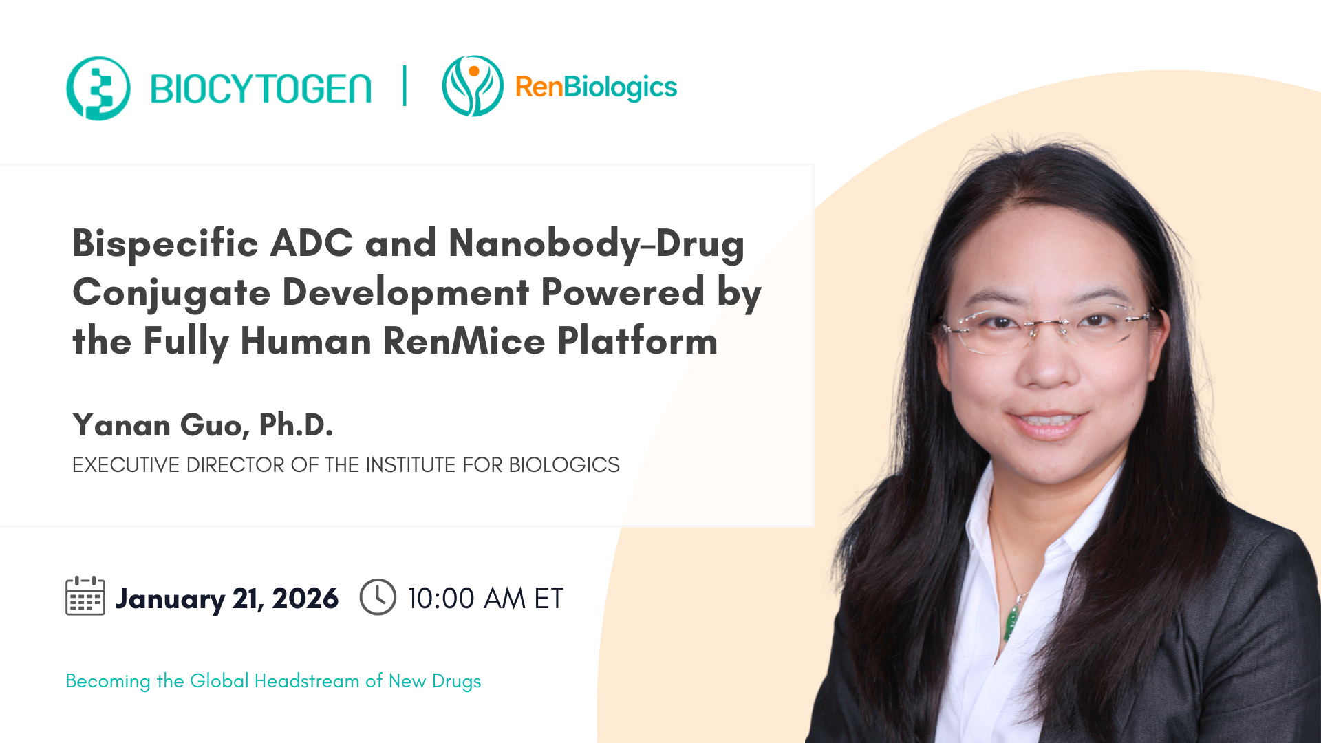 Bispecific ADC and Nanobody&ndash;Drug Conjugate Development Powered by the Fully Human RenMice Platform