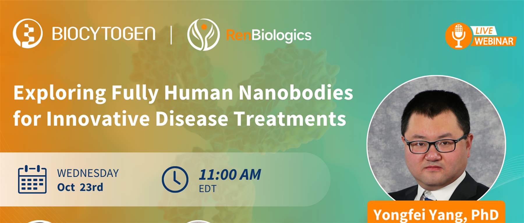 Exploring Fully Human Nanobodies for Innovative Disease Treatments