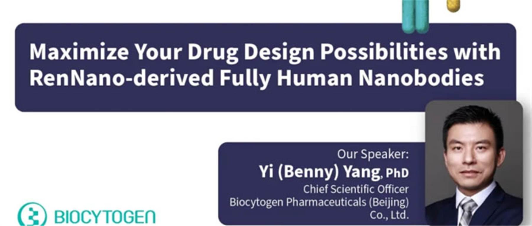 Maximize Your Drug Design Possibilities with RenNano-derived Fully Human Nanobodies