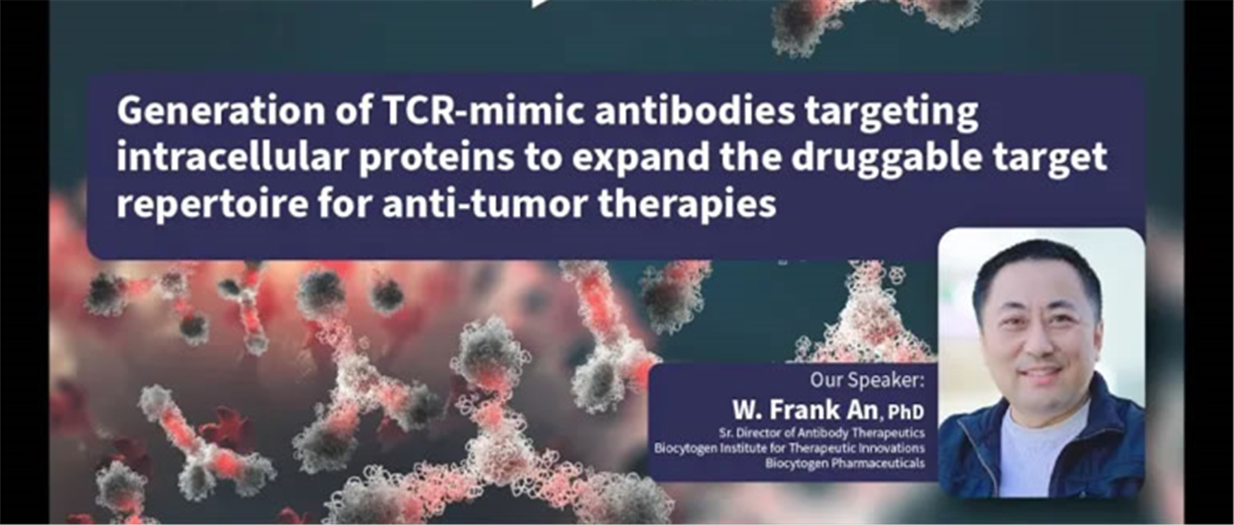 Generation of TCR-mimic antibodies targeting intracellular proteins to expand the druggable target repertoire for anti-tumor therapies