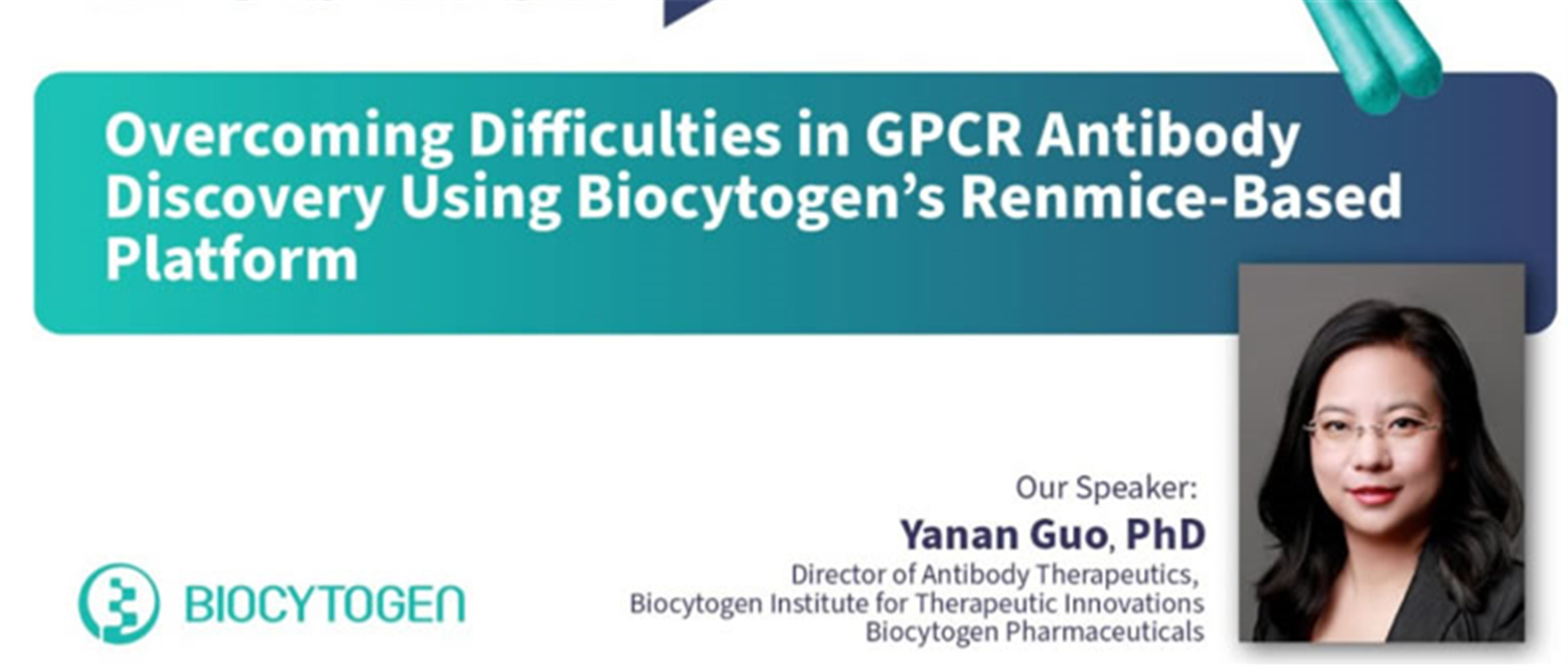 Overcoming Difficulty In GPCR Antibody Discovery Using Biocytogen&rsquo;s Renmice-Based Platform