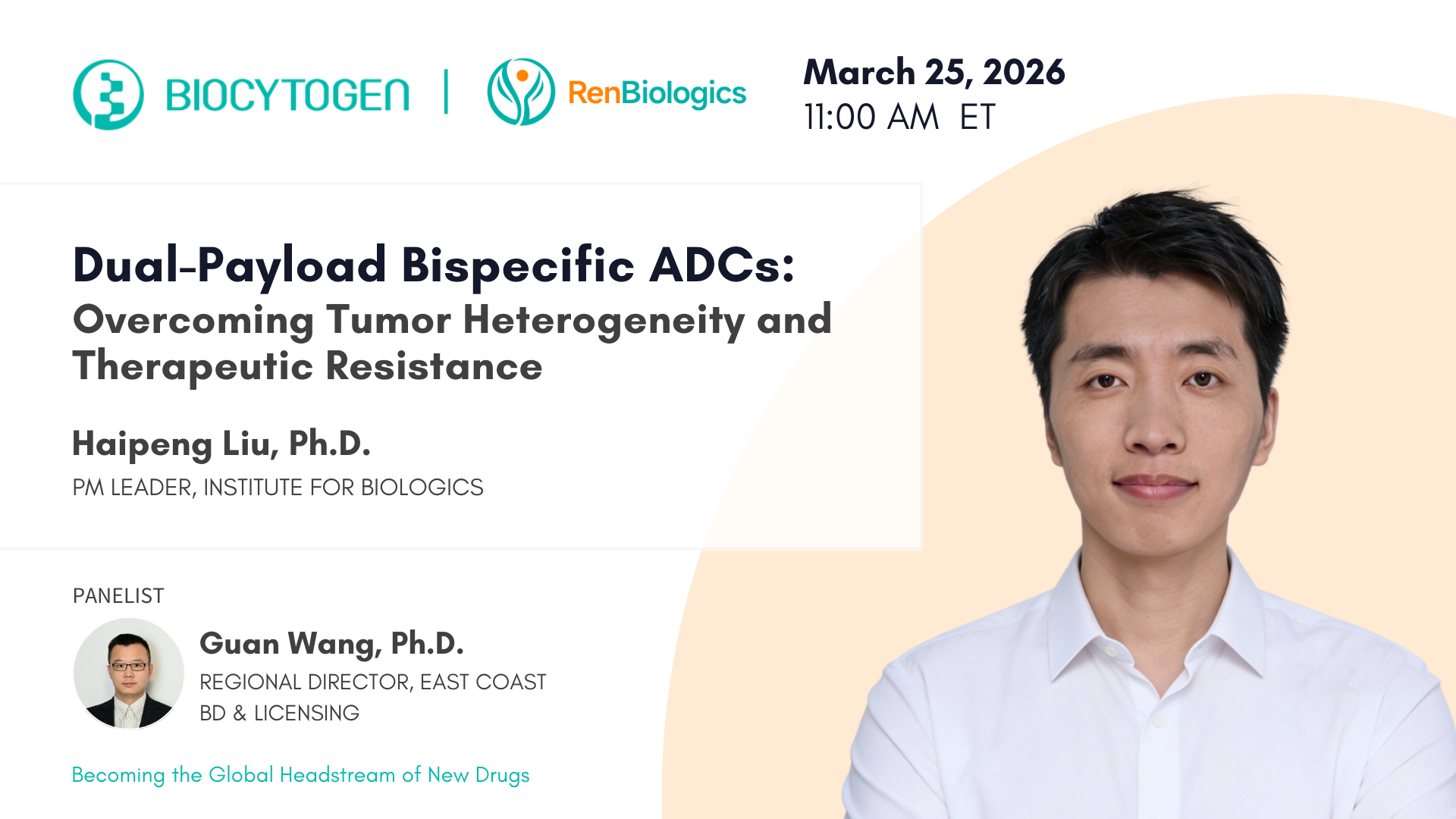 Dual-Payload Bispecific ADCs: New Strategies to Overcome Tumor Heterogeneity and Therapeutic Resistance