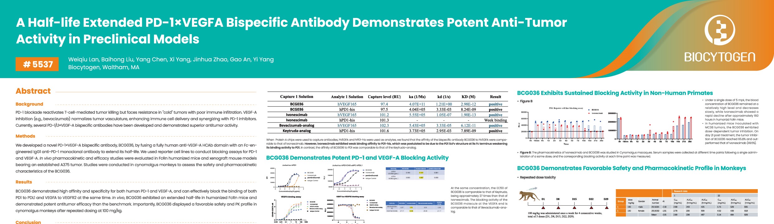 AACR 2026: A Half-life Extended PD-1&times;VEGFA Bispecific Antibody Demonstrates Potent Anti-Tumor Activity in Preclinical Models