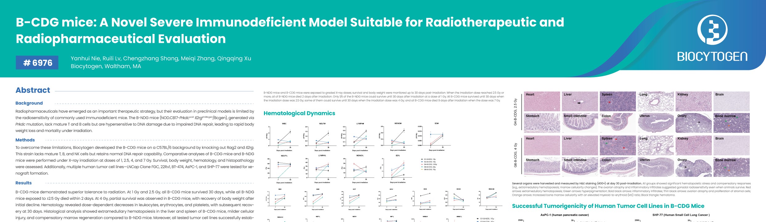 AACR 2026: B-CDG mice: A Novel Severe Immunodeficient Model Suitable for Radiotherapeutic and Radiopharmaceutical Evaluation