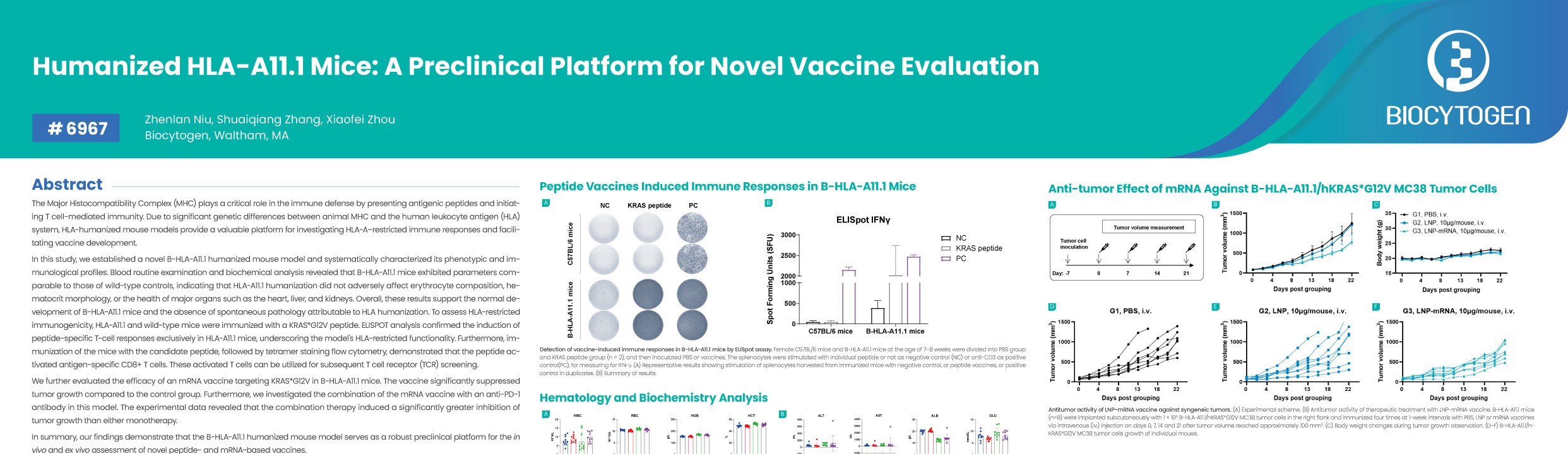 AACR 2026: Humanized HLA-A11.1 Mice: A Preclinical Platform for Novel Vaccine Evaluation