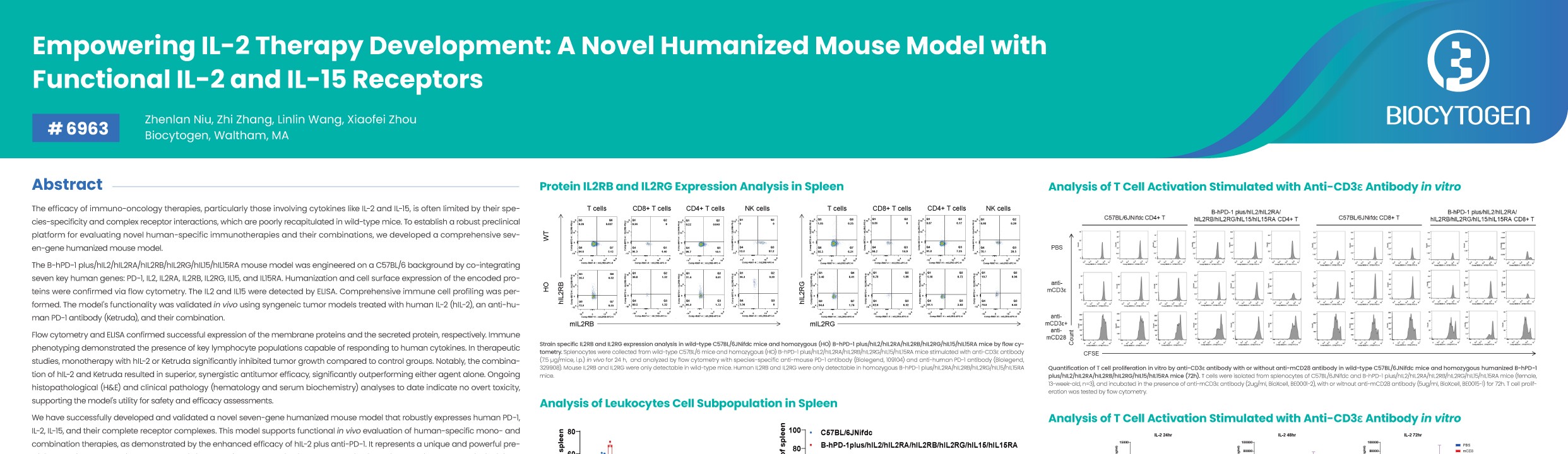 AACR 2026: Empowering IL-2 Therapy Development: A Novel Humanized Mouse Model with Functional IL-2 and IL-15 Receptors