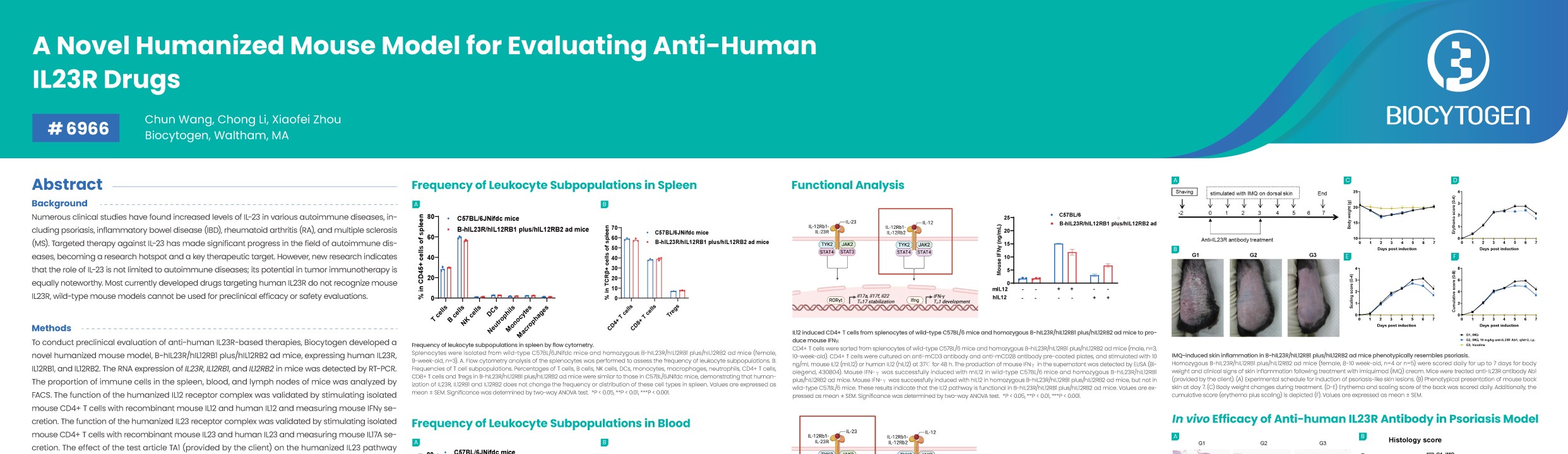 AACR 2026: A Novel Humanized Mouse Model for Evaluating Anti-Human IL23R Drugs