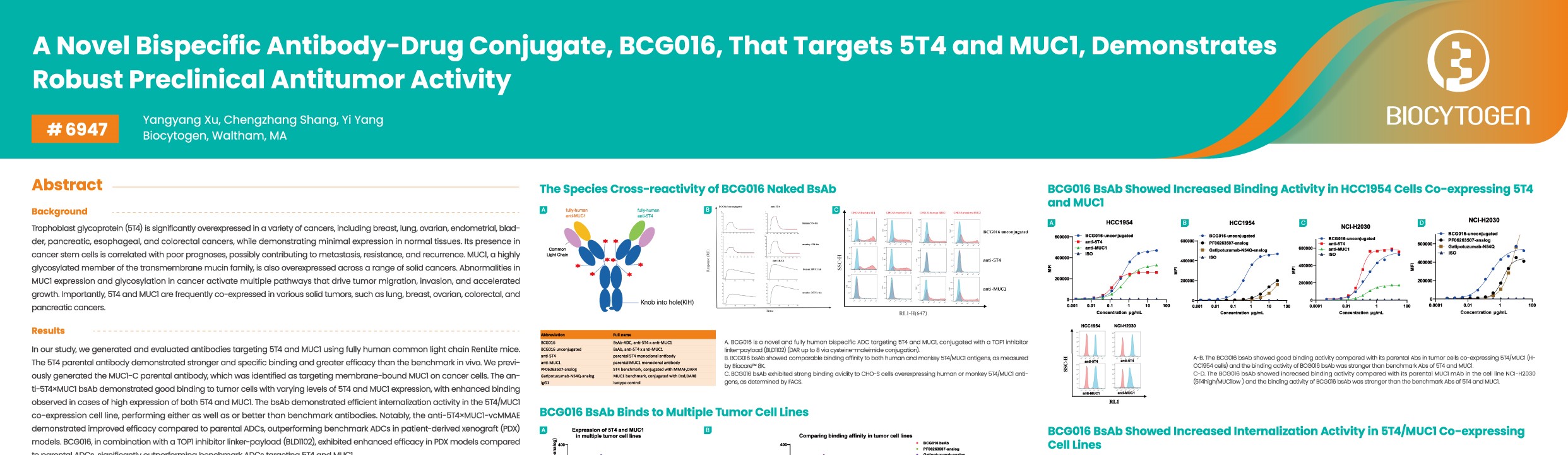 AACR 2026: A Novel Bispecific Antibody-Drug Conjugate, BCG016, That Targets 5T4 and MUC1, Demonstrates Robust Preclinical Antitumor Activity