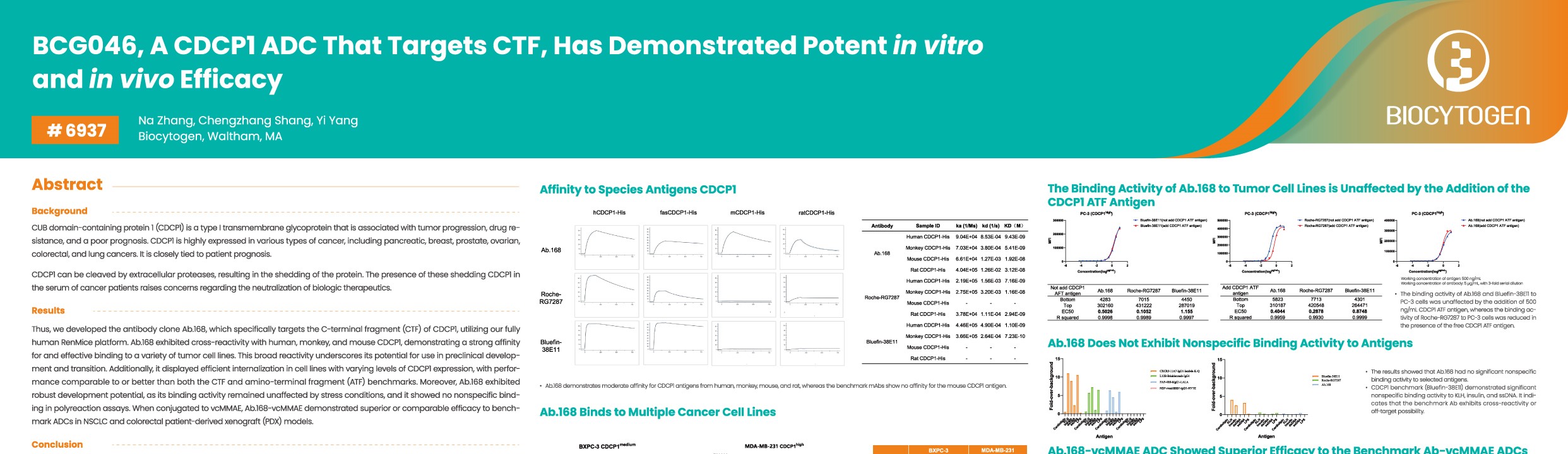 AACR 2026: BCG046, A CDCP1 ADC That Targets CTF, Has Demonstrated Potent in vitro and in vivo Efficacy