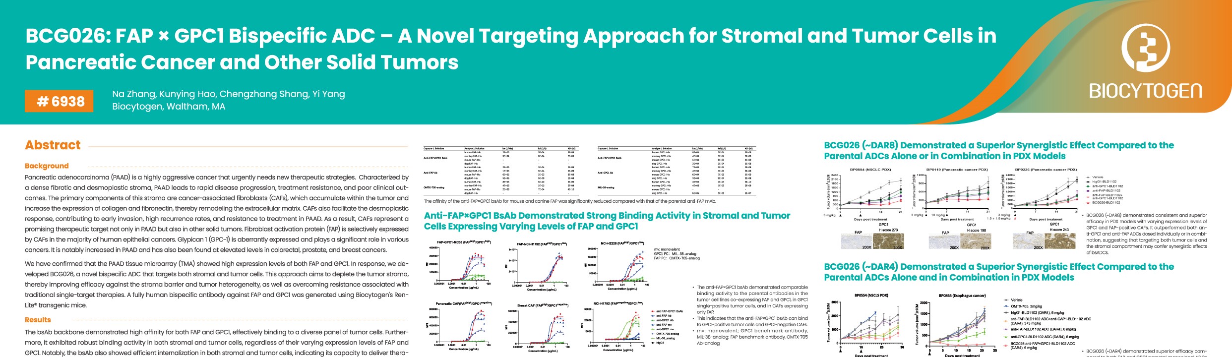 AACR 2026: BCG026: FAP &times; GPC1 Bispecific ADC &ndash; A Novel Targeting Approach for Stromal and Tumor Cells in Pancreatic Cancer and Other Solid Tumors