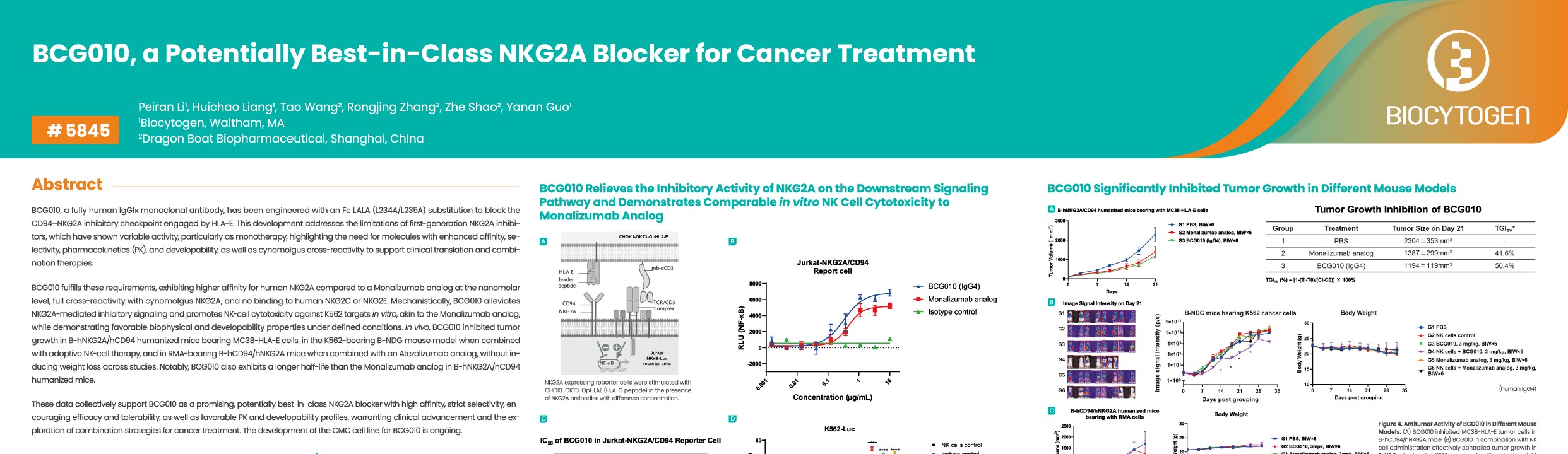 AACR 2026: BCG010, a Potentially Best-in-Class NKG2A Blocker for Cancer Treatment