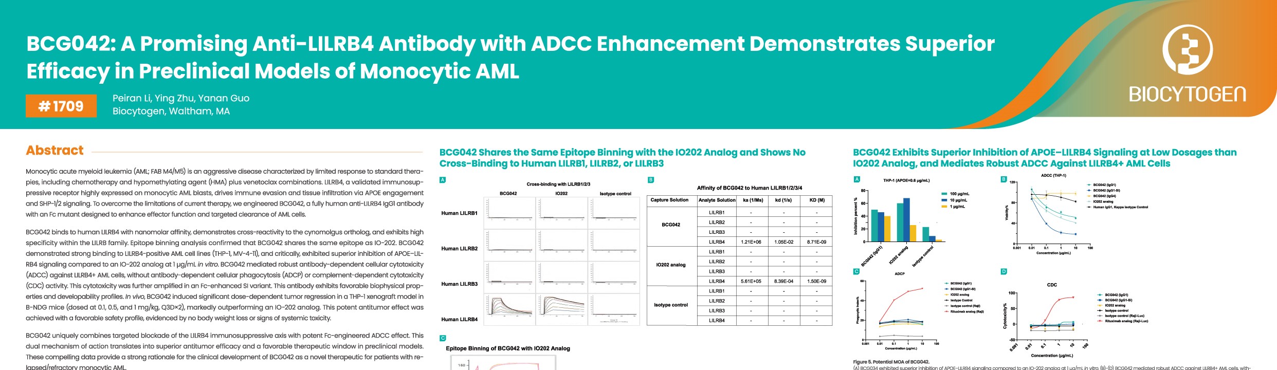 AACR 2026: BCG042: A Promising Anti-LILRB4 Antibody with ADCC Enhancement Demonstrates Superior Efficacy in Preclinical Models of Monocytic AML