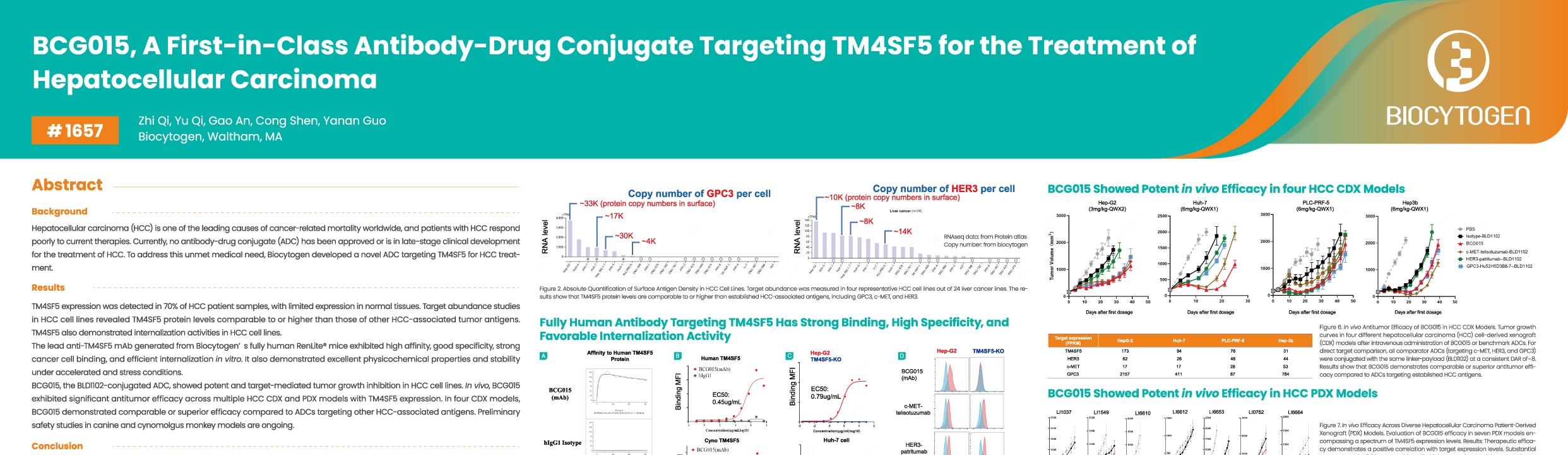 AACR 2026: BCG015: A First-in-Class Antibody-Drug Conjugate Targeting TM4SF5 for the Treatment of Hepatocellular Carcinoma
