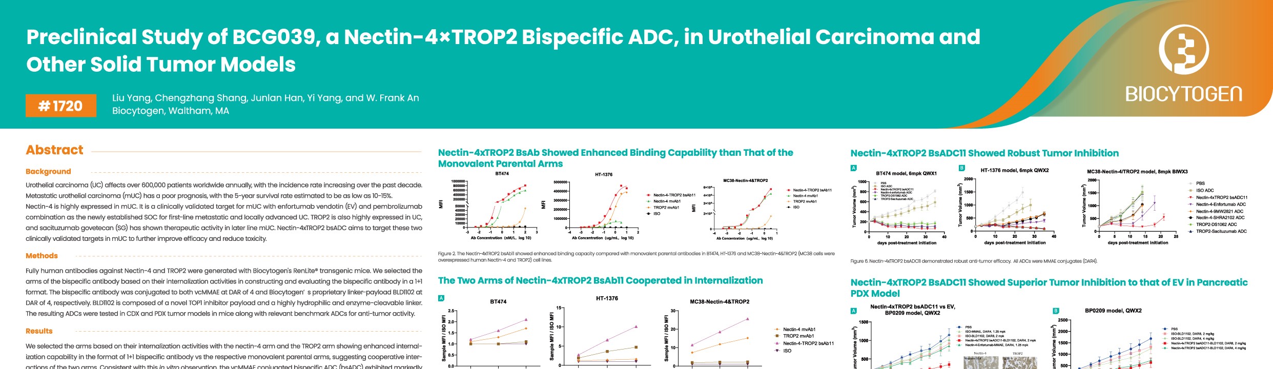 AACR 2026: Preclinical Study of BCG039, a Nectin-4&times;TROP2 Bispecific ADC, in Urothelial Carcinoma and Other Solid Tumor Models